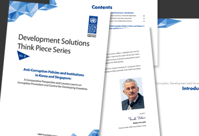 UNDP 브로슈어