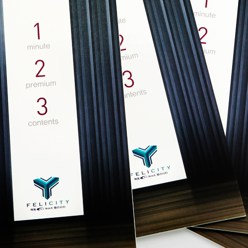 펠리시티 리플렛