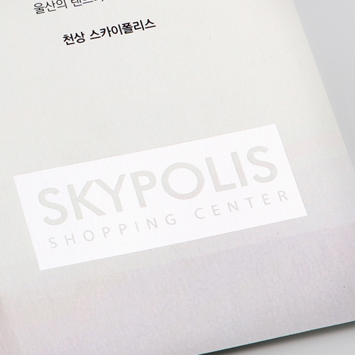 천상 스카이폴리스 카다로그, 리플렛