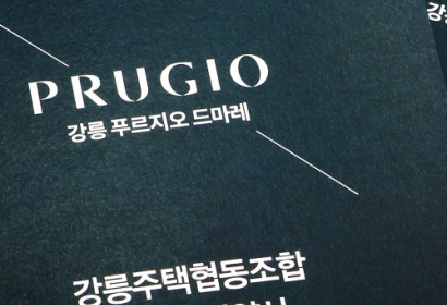 대우 푸르지오 드마레 리플렛, 전단, 예약서,...
